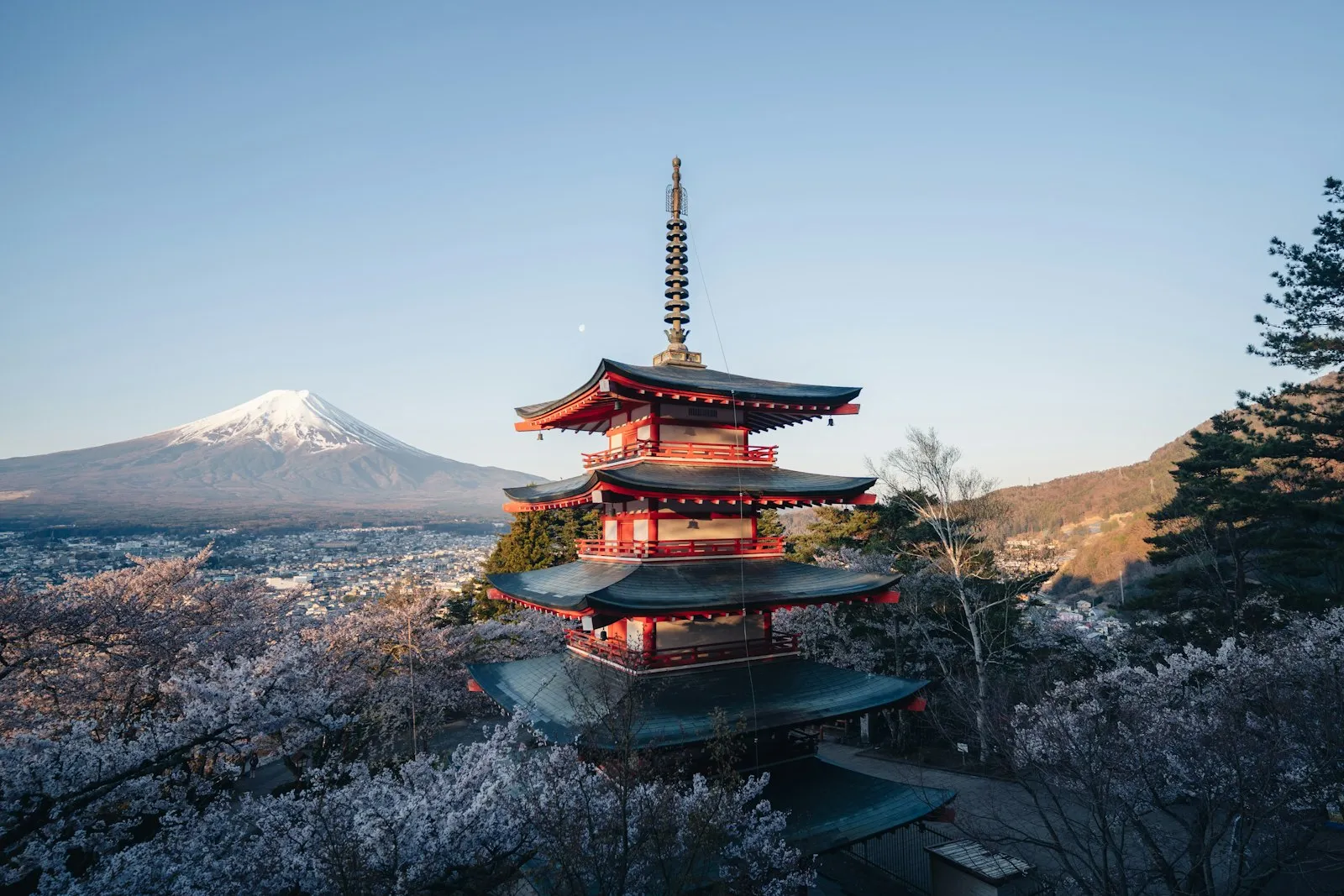 新倉山浅間公園の忠霊塔と富士山の桜