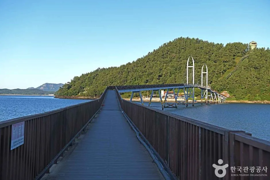 가우도 출렁다리 (3)
