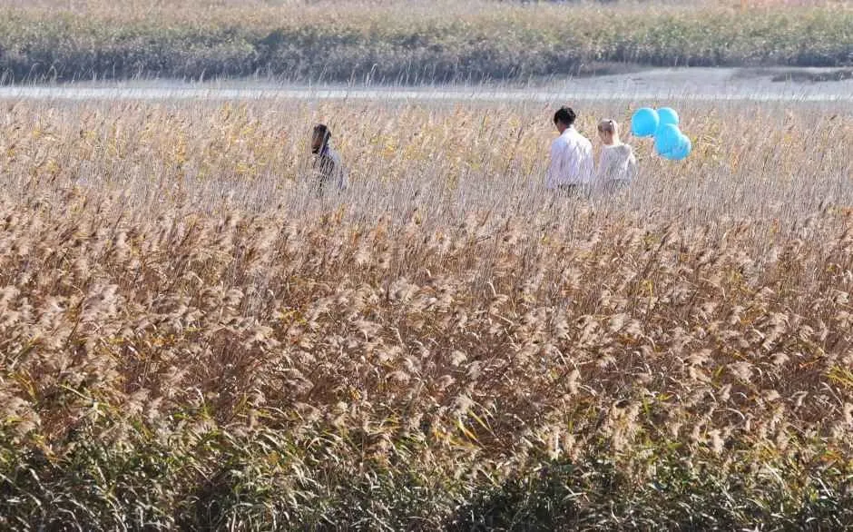 강진만 생태공원