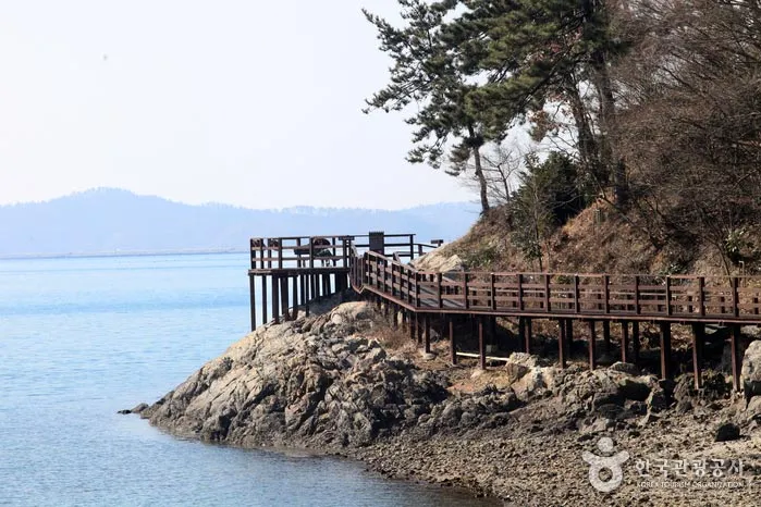 강진 가볼만한곳 당일치기 코스 추천 (가우도·다산초당·병영) 본문 이미지