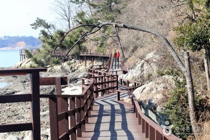 강진 가볼만한곳 당일치기 코스 추천 (가우도·다산초당·병영) 본문 이미지