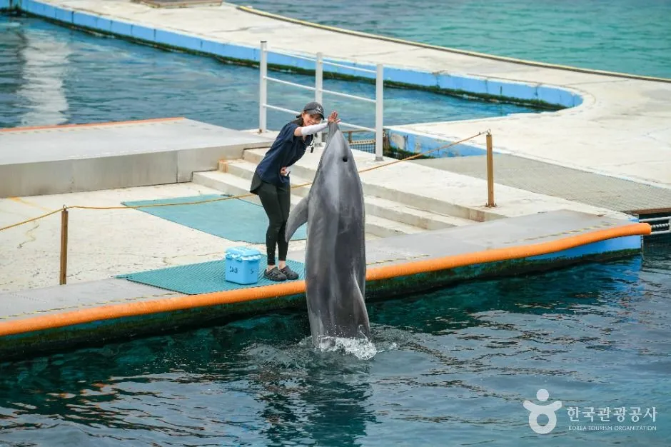 거제_거제씨월드 (3)