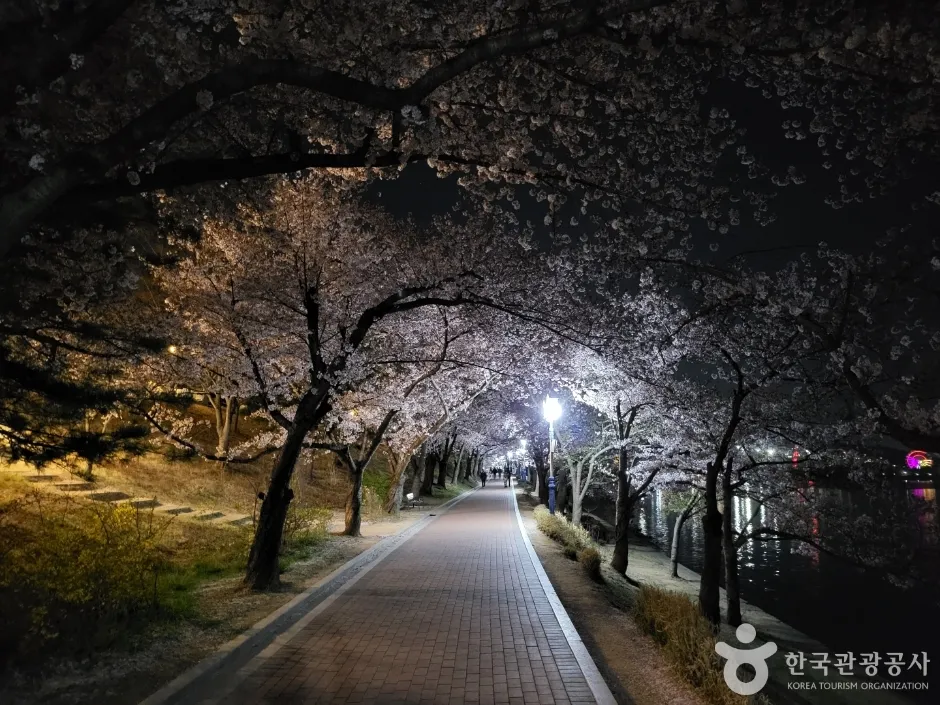 보문호 (4)