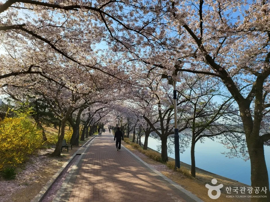 보문호 (8)