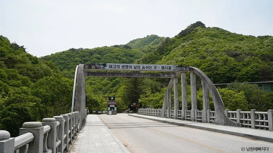남원_뱀사골계곡 (1)