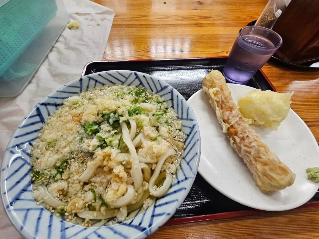 사카에다우동