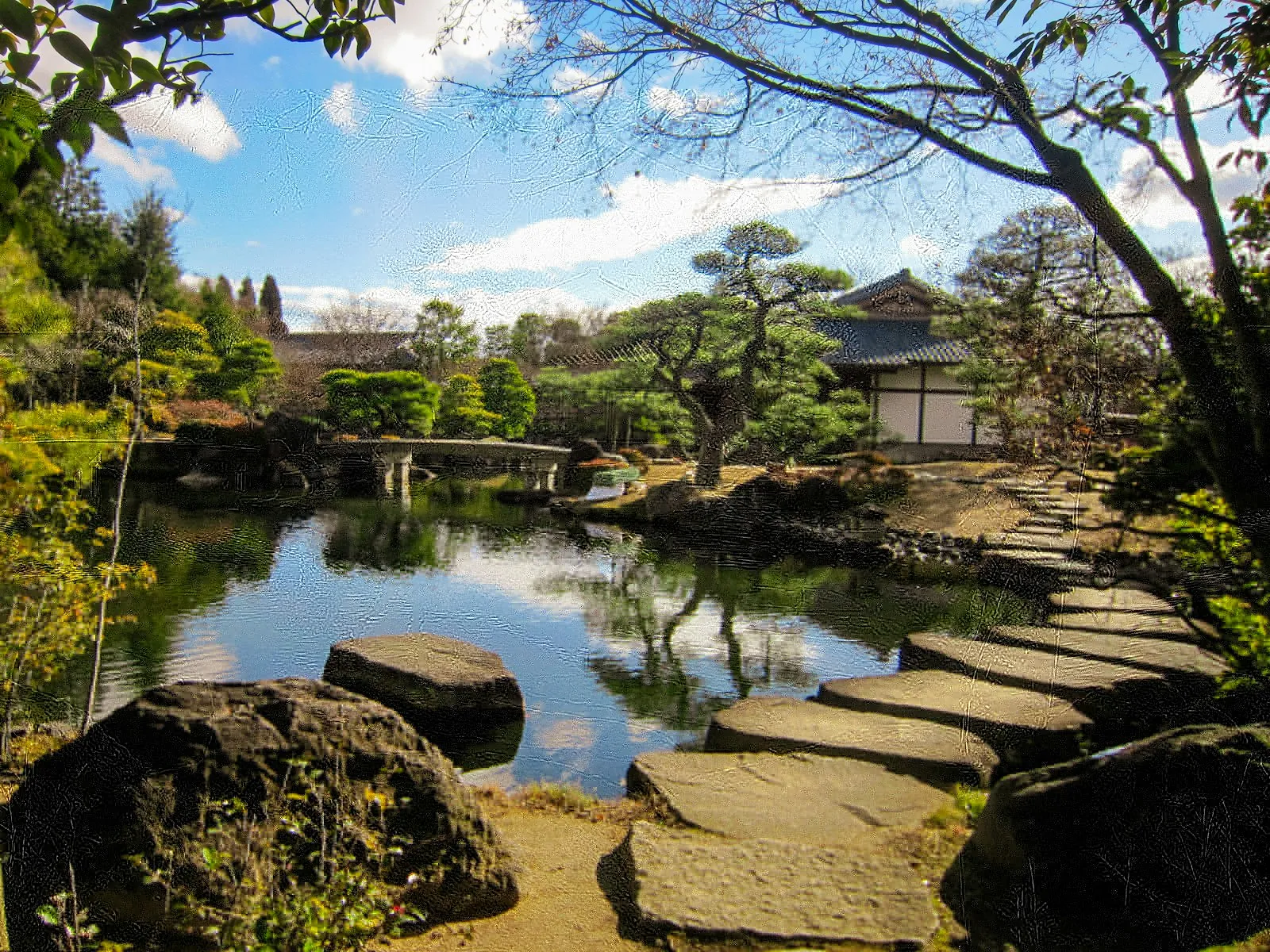 川沿いの緑豊かな木々、昼間の風景