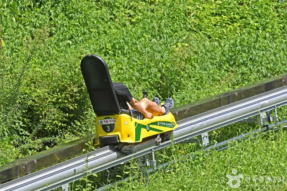 알파인코스터