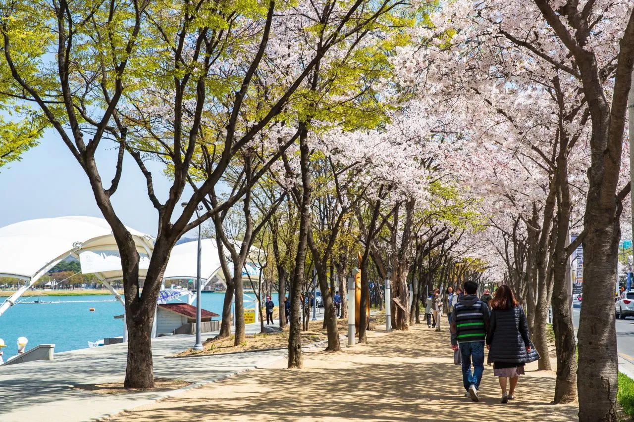 수성못 유원지