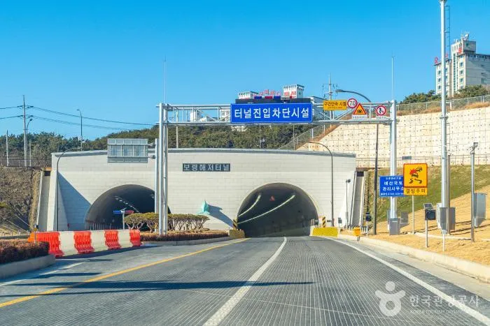 보령 가볼만한곳 당일치기 코스 추천 (대천해수욕장·해저터널) 본문 이미지