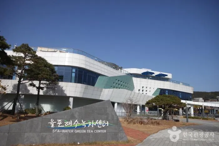보성 벌교 코스 동선 당일치기 꼬막정식까지 정리 본문 이미지