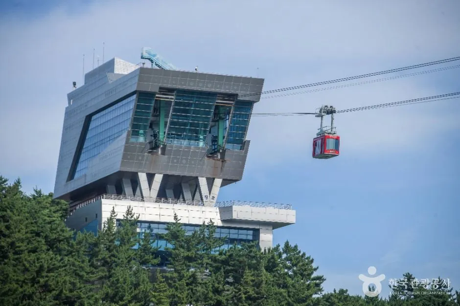 삼척 해상케이블카 (3)