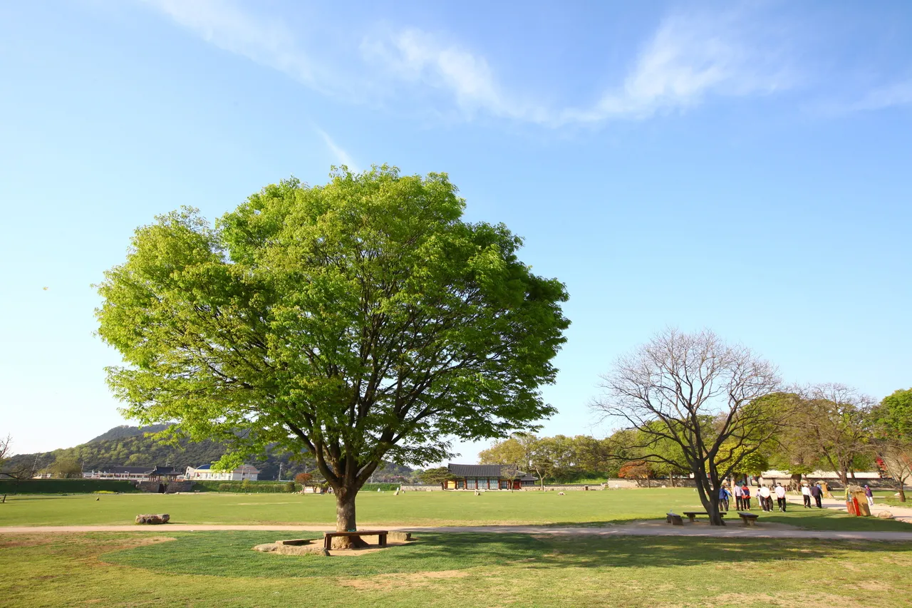 서산 해미읍성