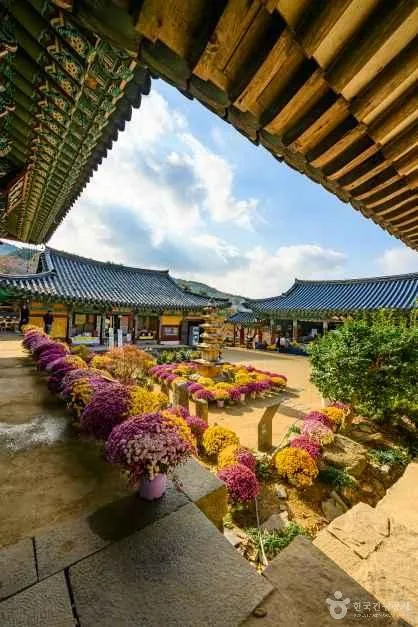 서산 개심사