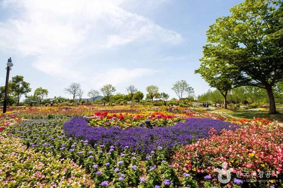 순천만국가정원 (12)