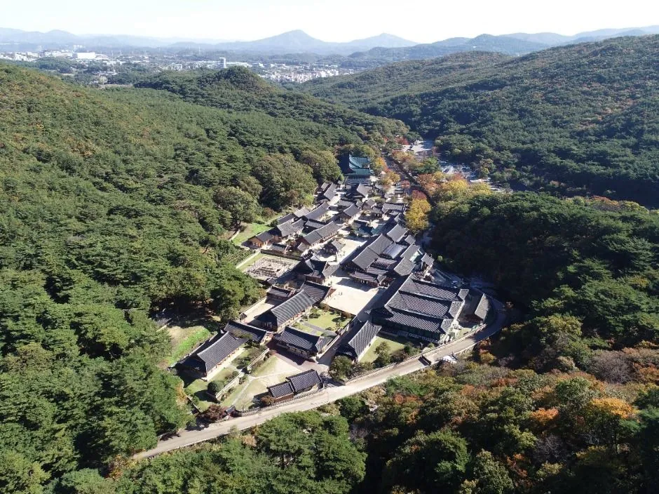 양산 가볼만한곳 당일치기 코스 추천 (통도사·황산공원·드라이브)