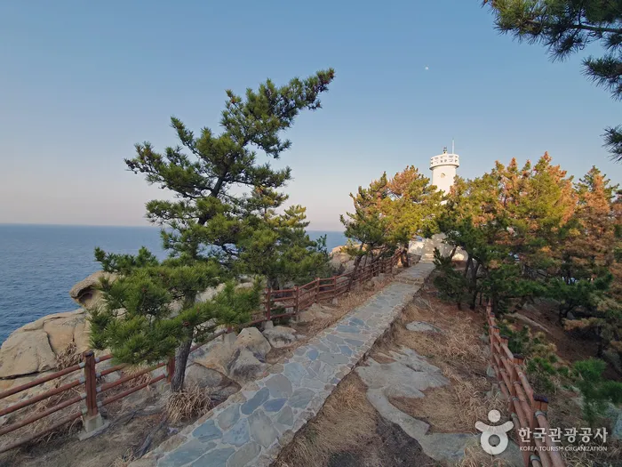 하조대 둘레길 2021 촬영 2