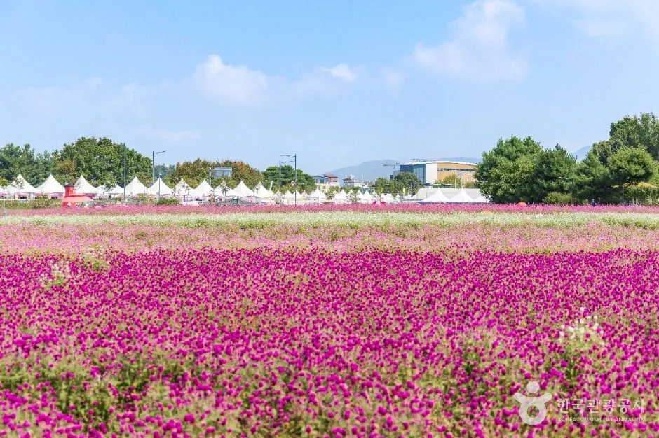 양주_나리농원 (2)