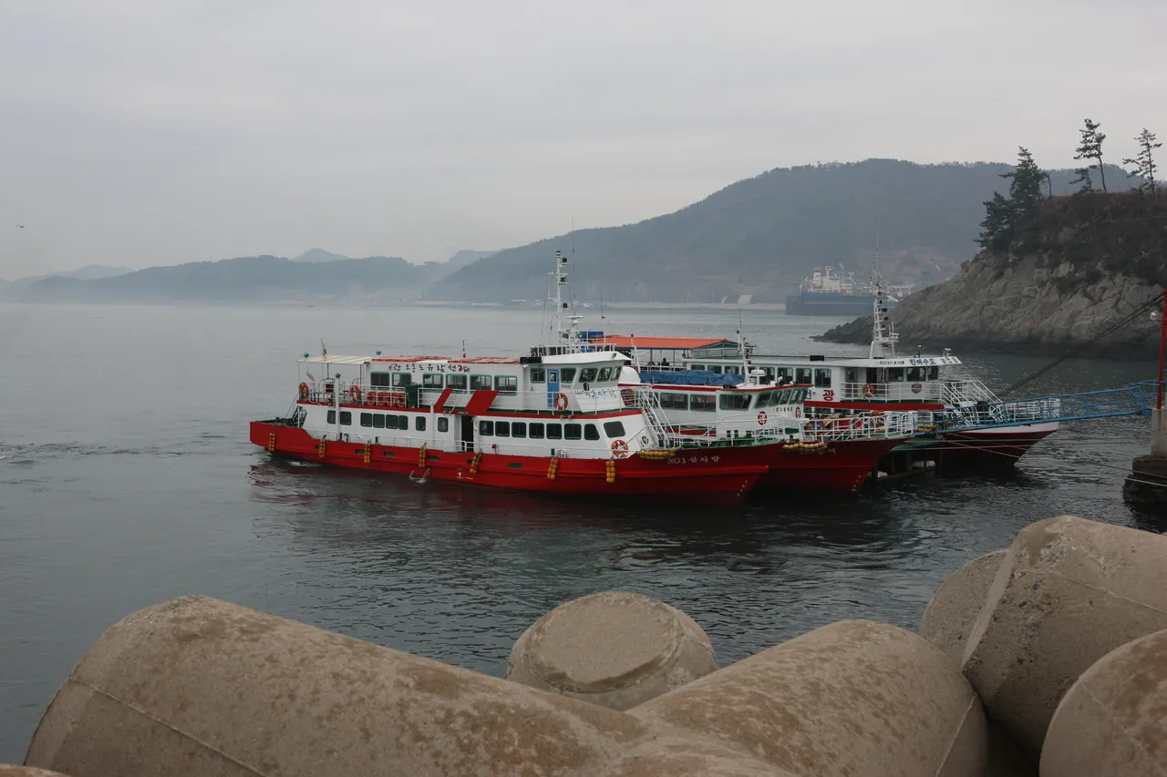 오동도 유람선