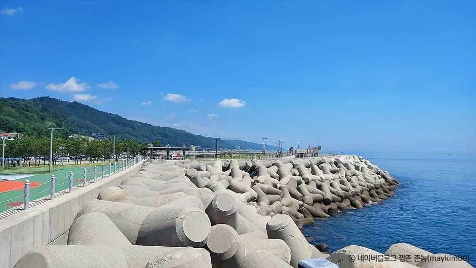 영덕 가볼만한곳 당일치기 코스 추천 (강구항·해맞이공원·블루로드) 본문 이미지