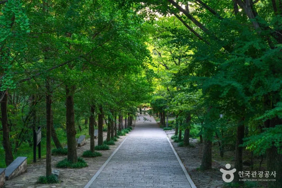 영주_부석사 [유네스코 세계유산] (3)