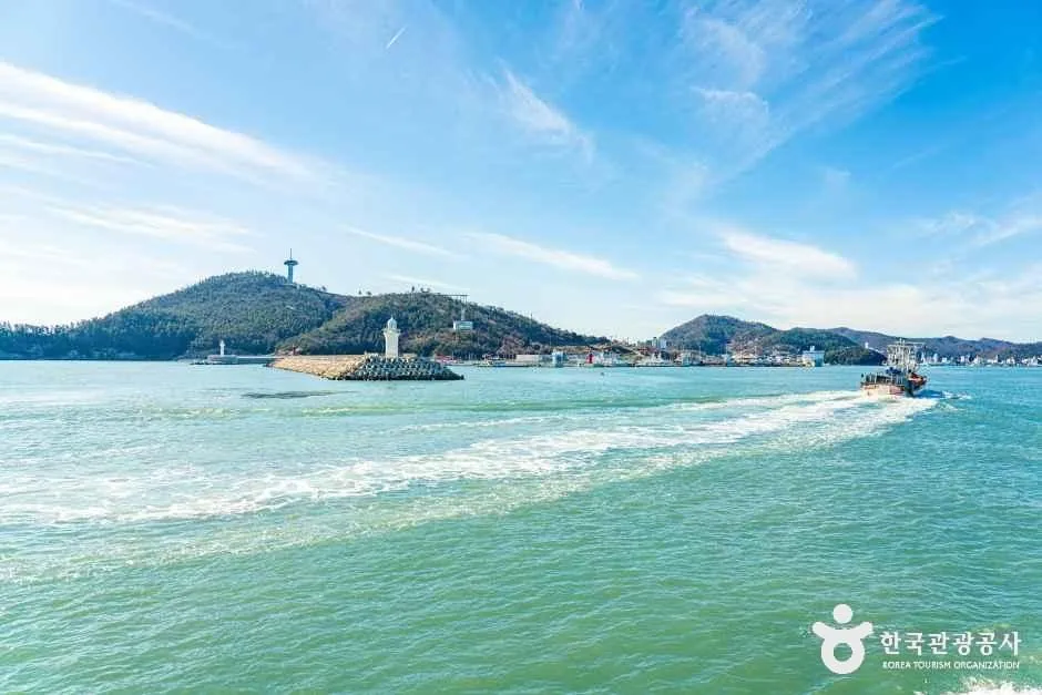 완도 가볼만한곳 당일코스 — 청산도·완도타워·정도리 완벽 정리