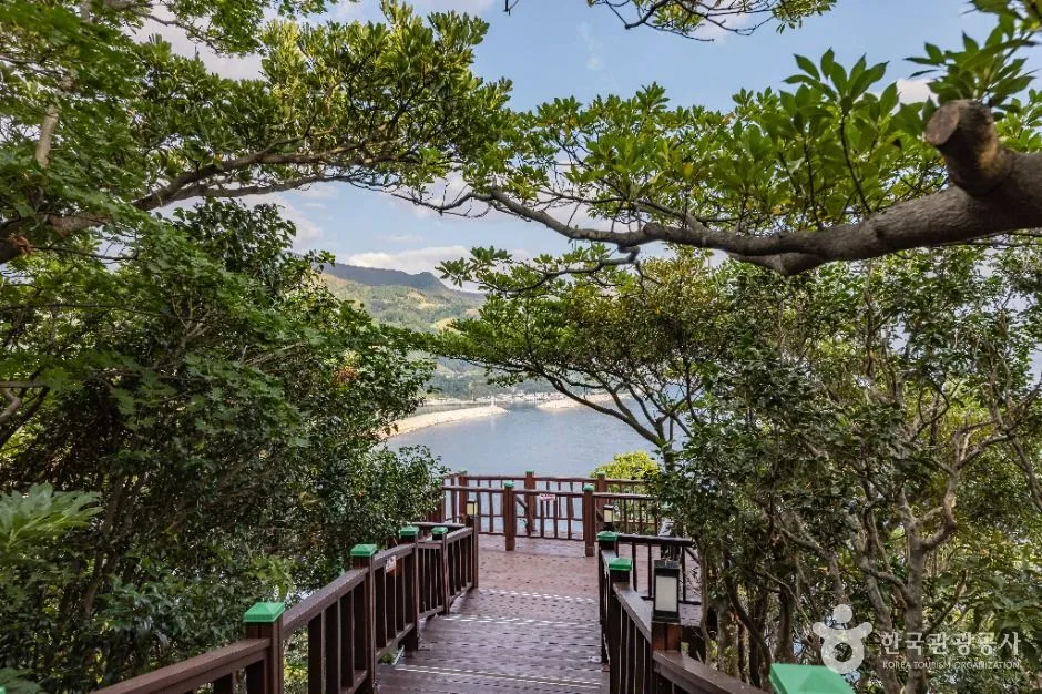 울릉_도동등대(행남등대) (4)
