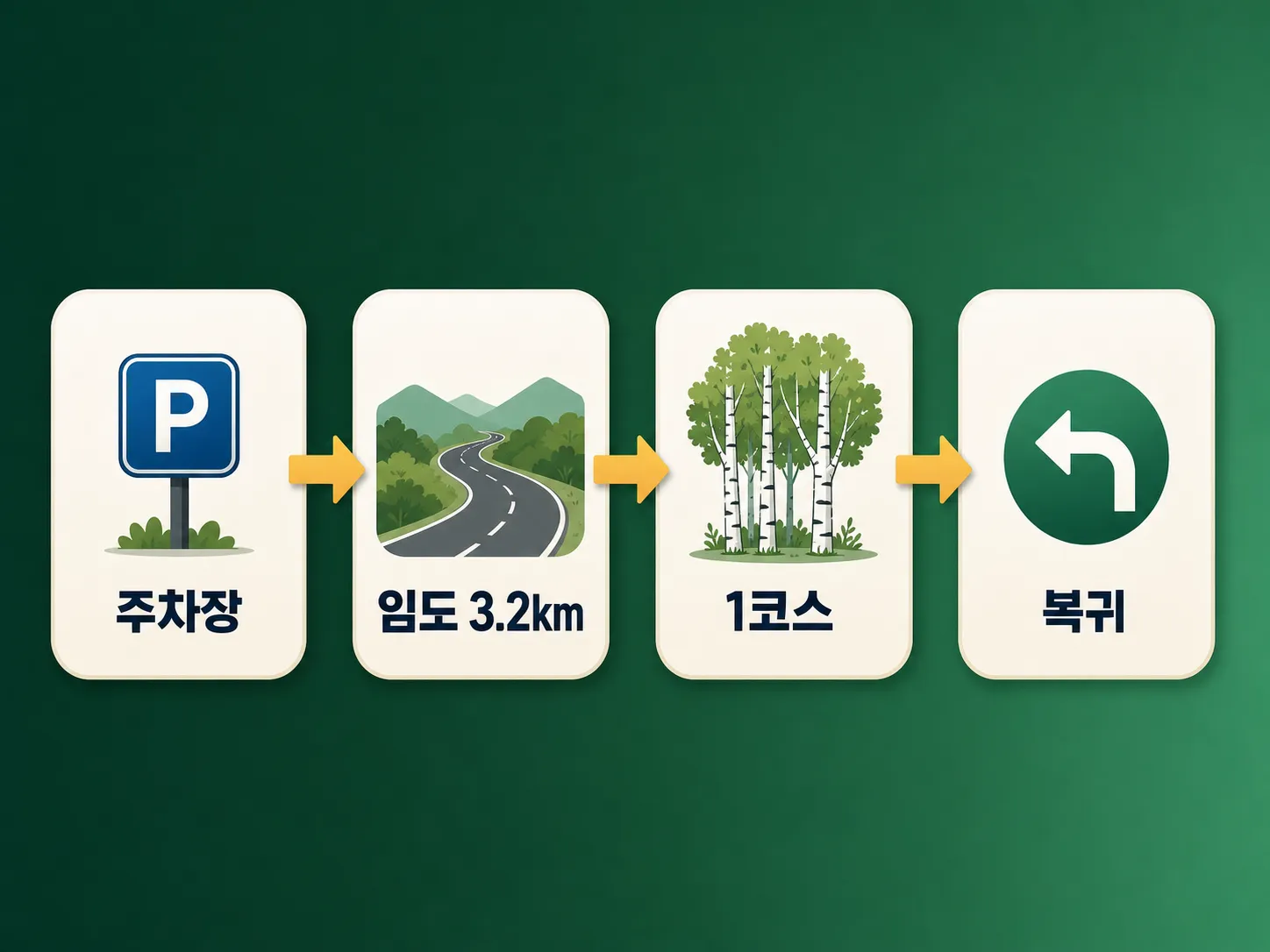 인제 자작나무숲 입산 마감과 왕복 소요시간 타임라인 인포그래픽