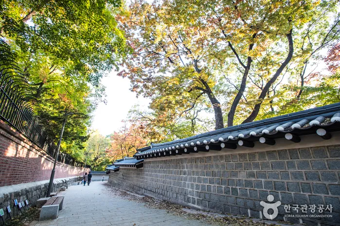 덕수궁돌담길