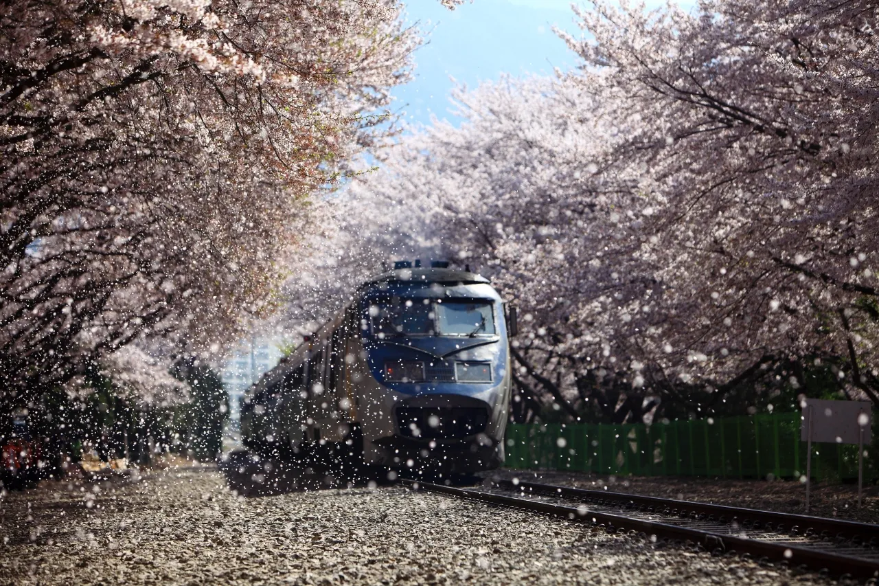 경화역