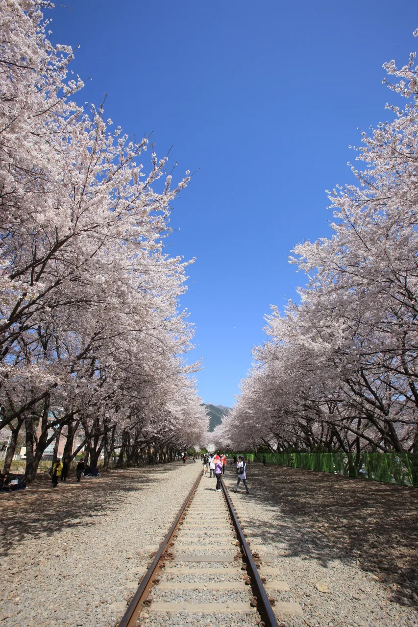 경화역