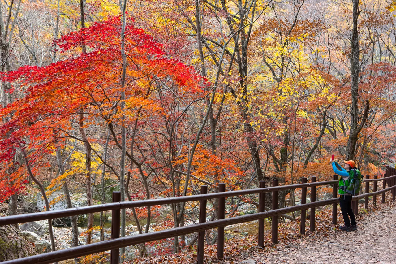 주왕산국립공원