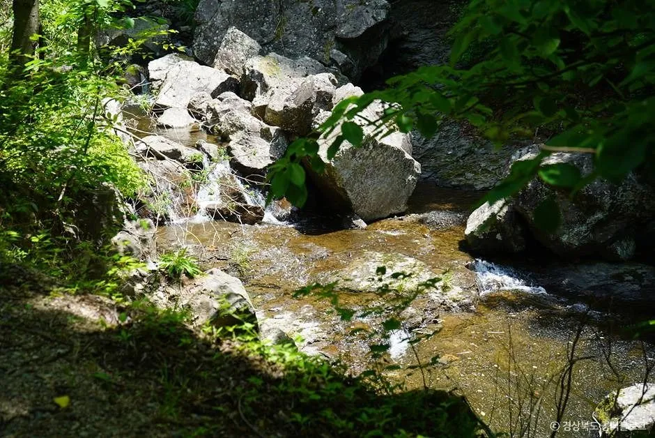 청송_주산지 (청송 국가지질공원) (2)