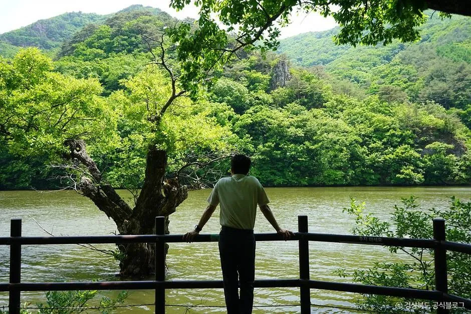 청송_주산지 (청송 국가지질공원) (3)