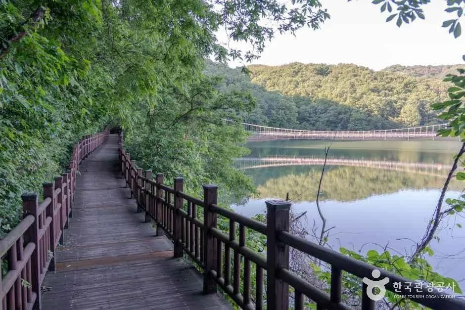 충남_청양_천장호출렁다리_외부_07.jpg