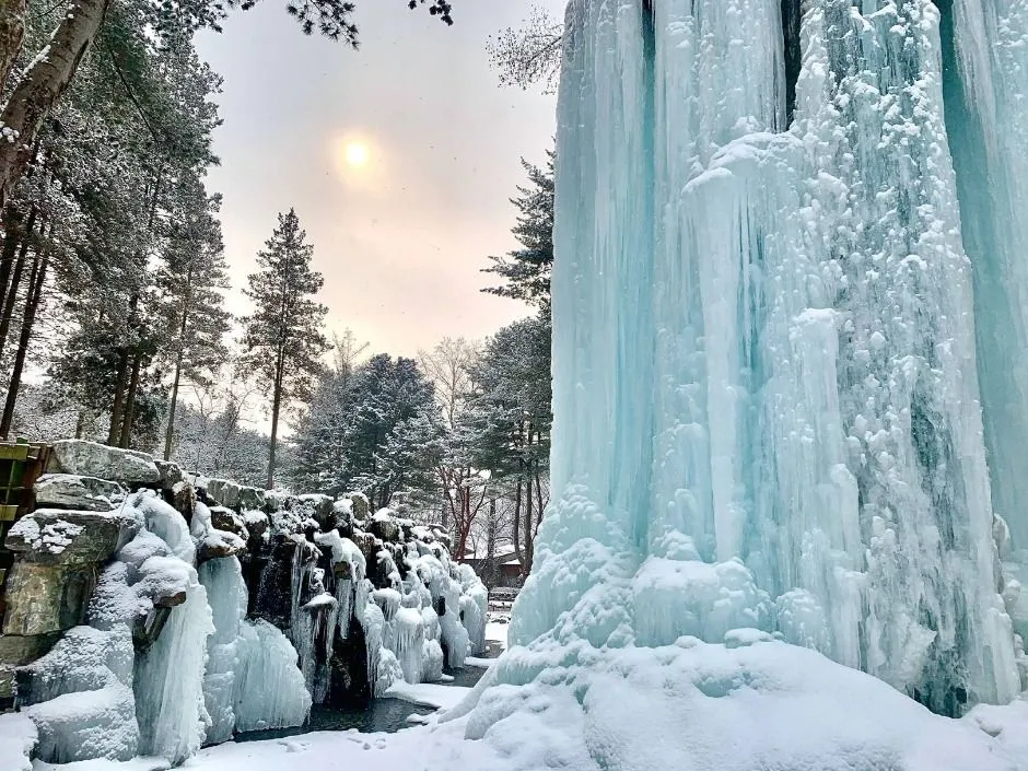 춘천_남이섬 (4)