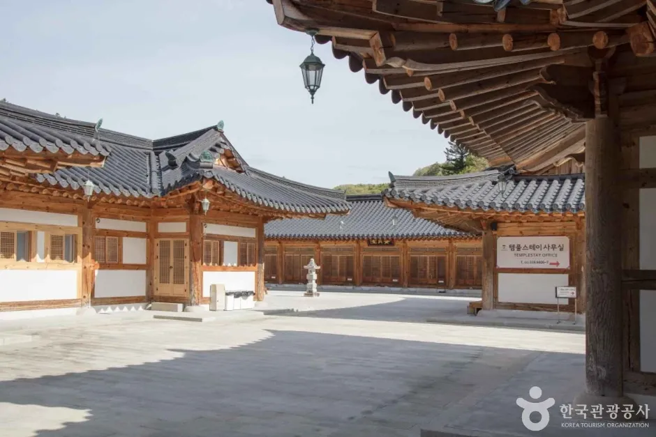 월정사·월정사 전나무숲 (1)