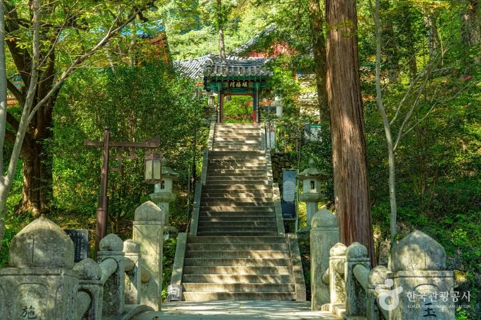 하동_쌍계사(하동) (6)