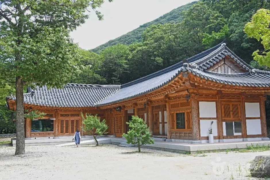 해남_대흥사 (4)