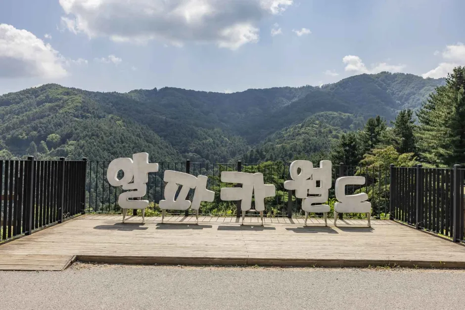 알파카월드 (1)