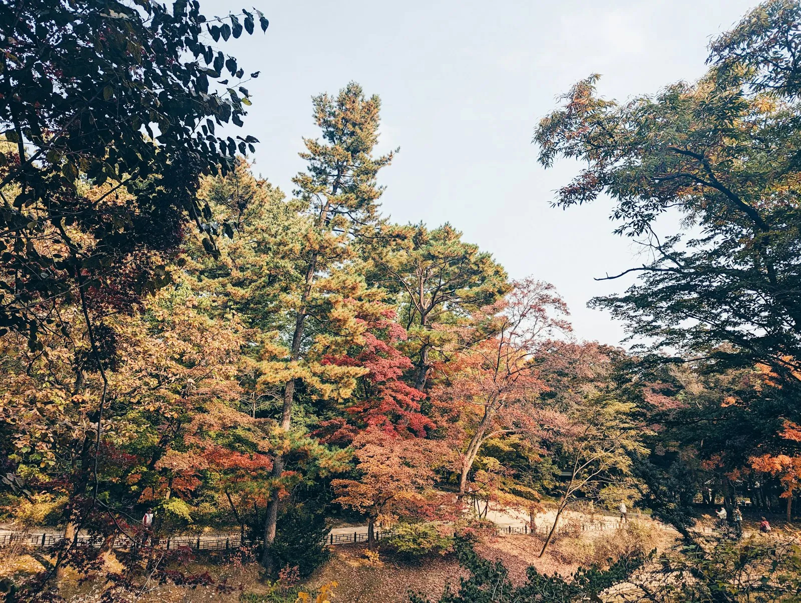 2026 동두천 소요산 단풍, 소요산역 출발 뚜벅이 산행