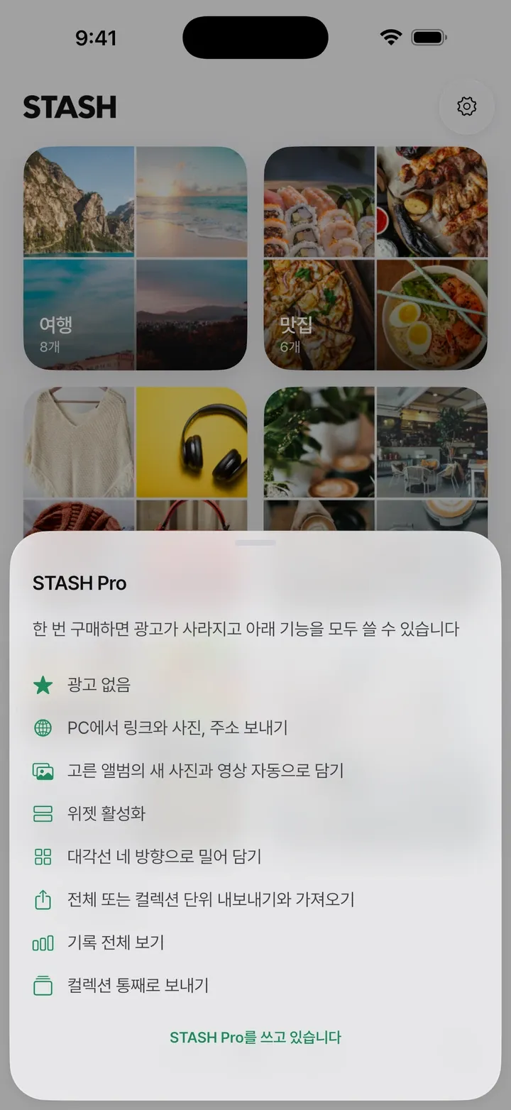 STASH Pro
