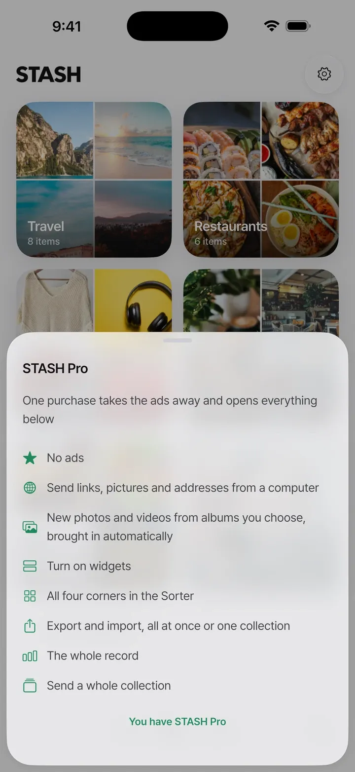 STASH Pro