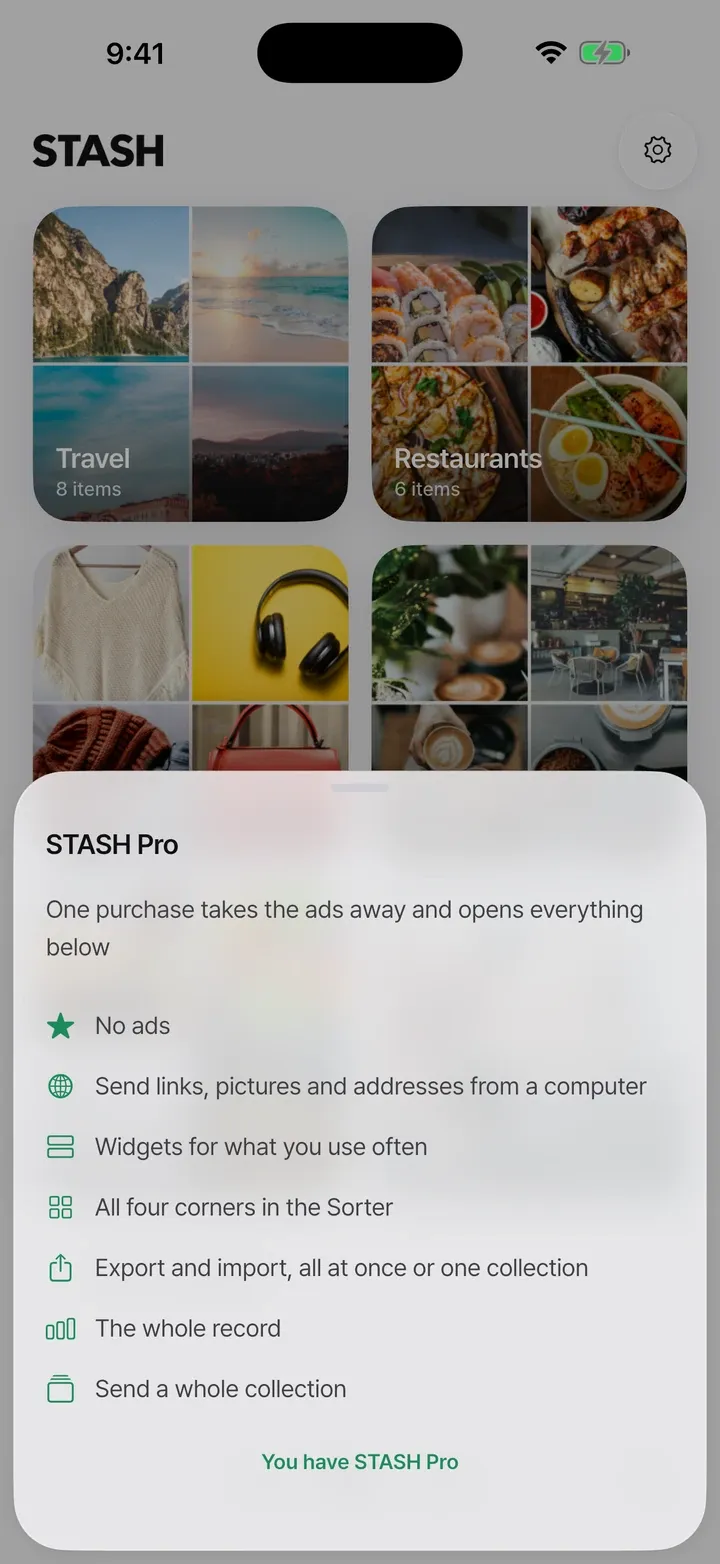 STASH Pro