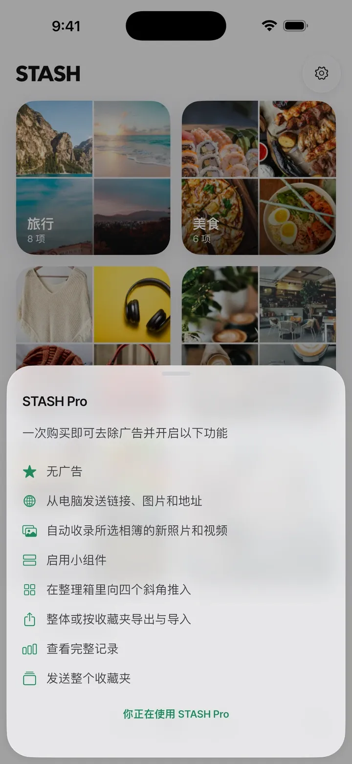 STASH Pro