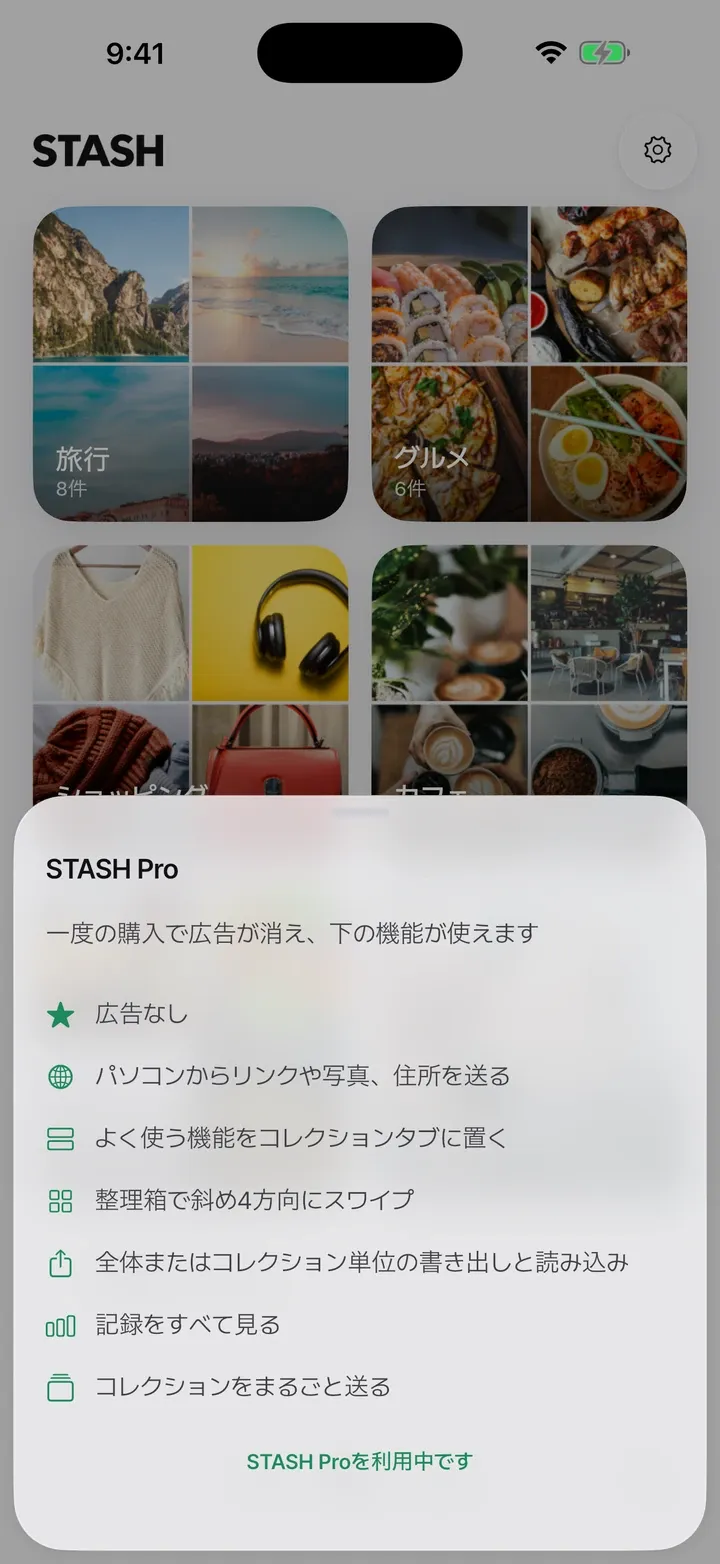 STASH Pro