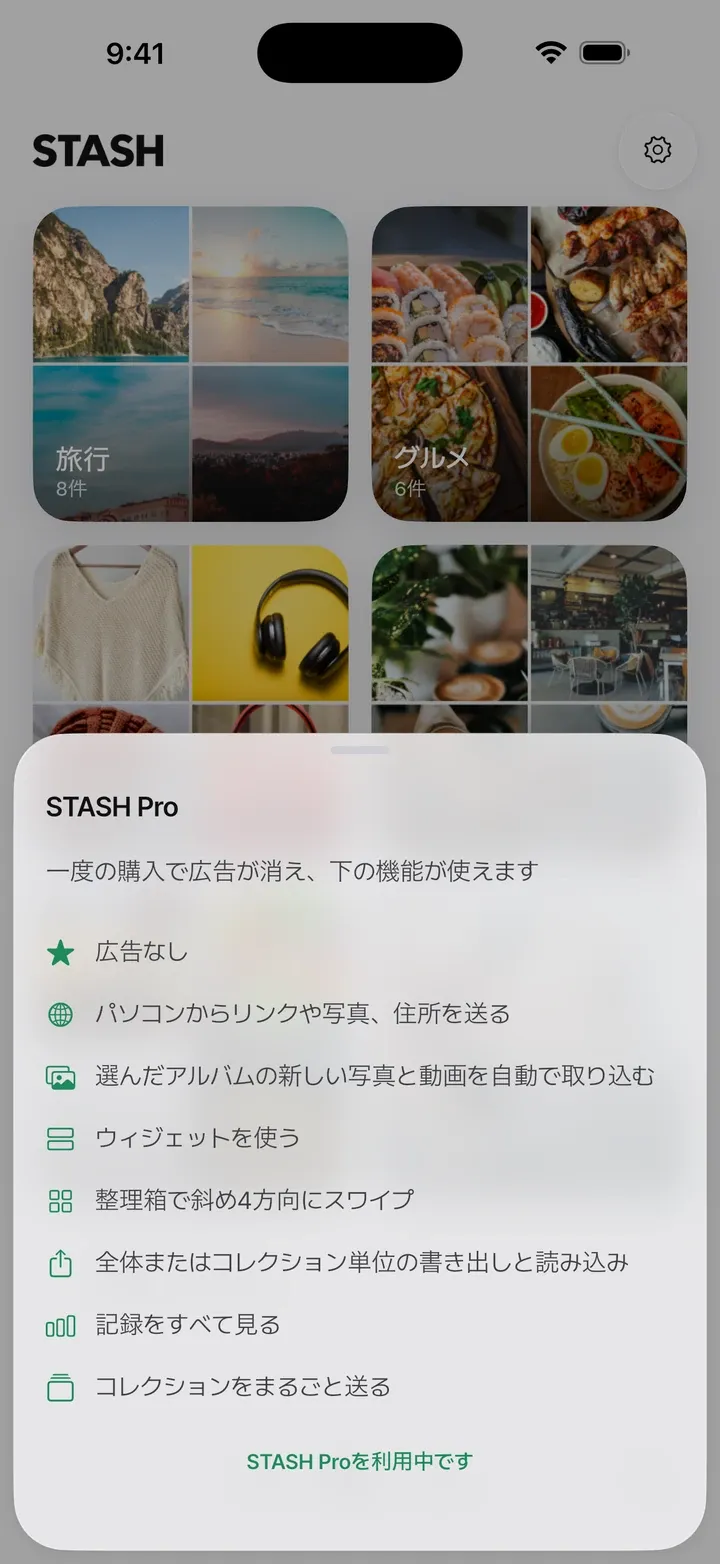 STASH Pro