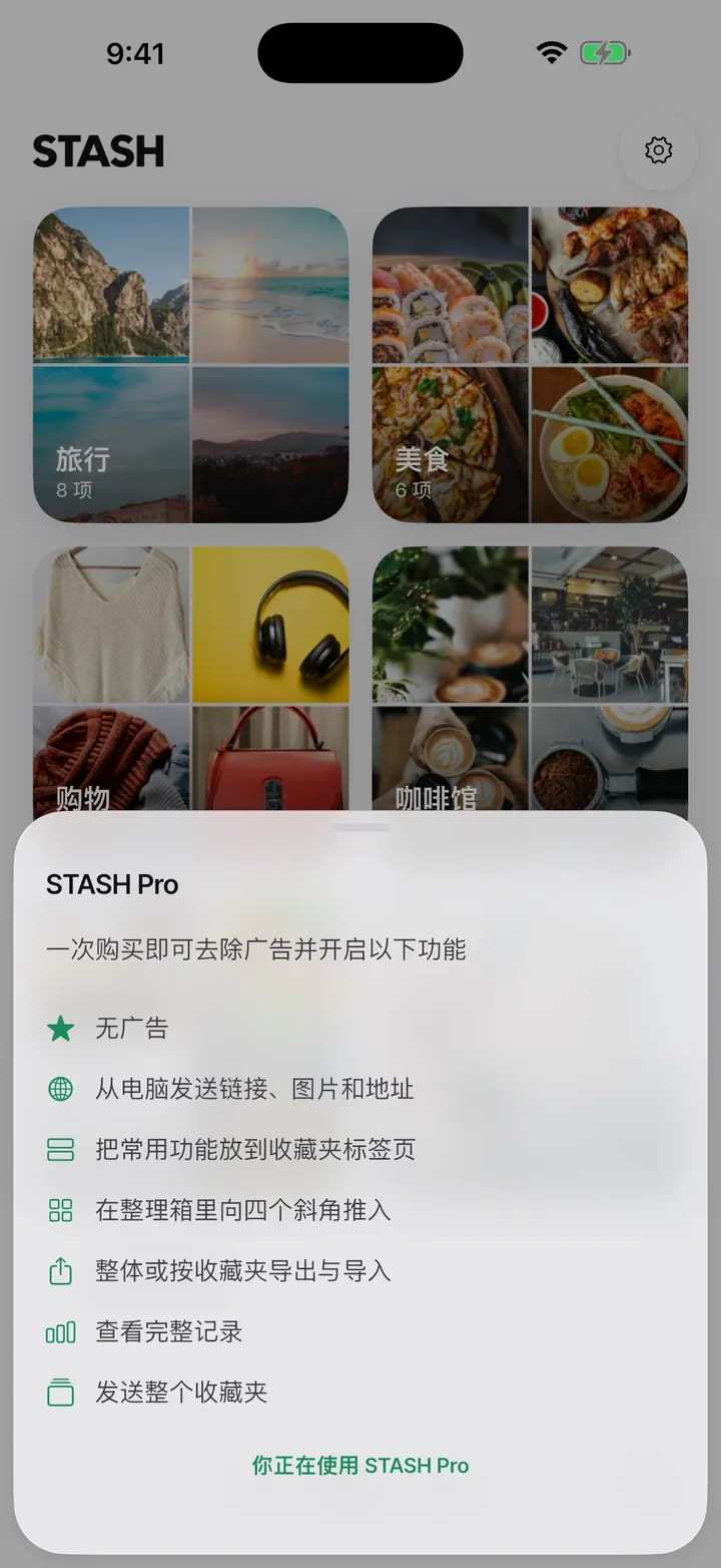 STASH Pro