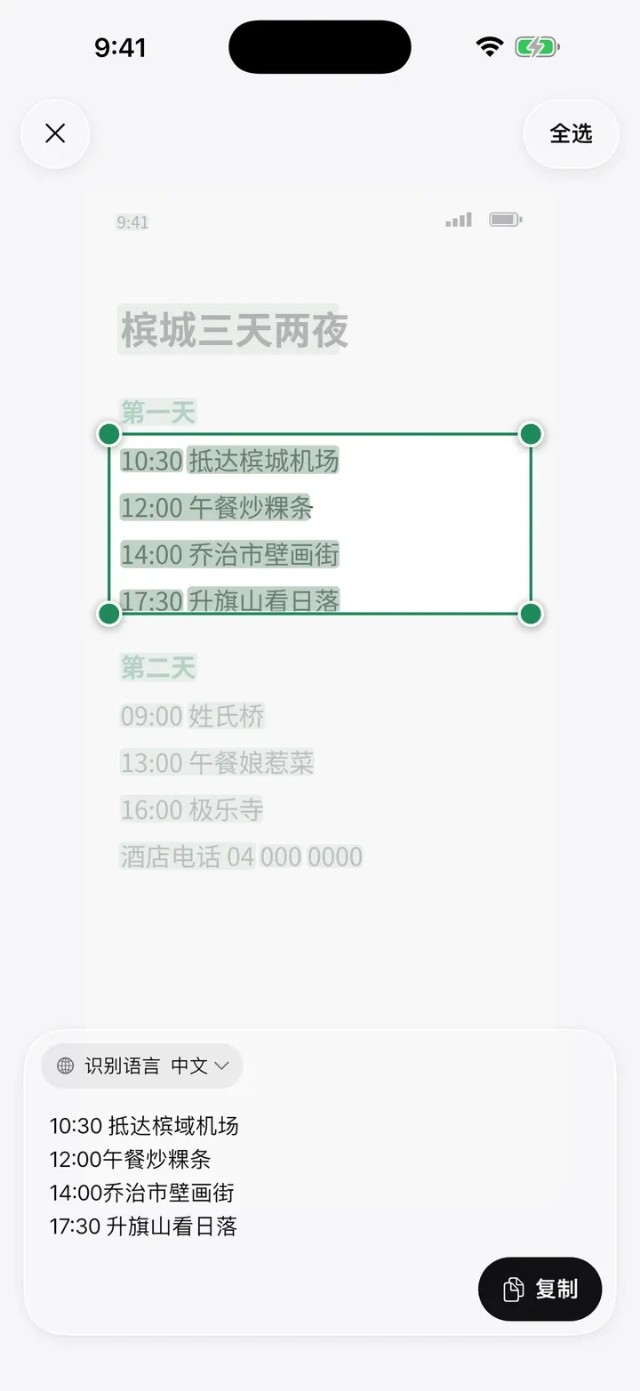 只复制需要的文字