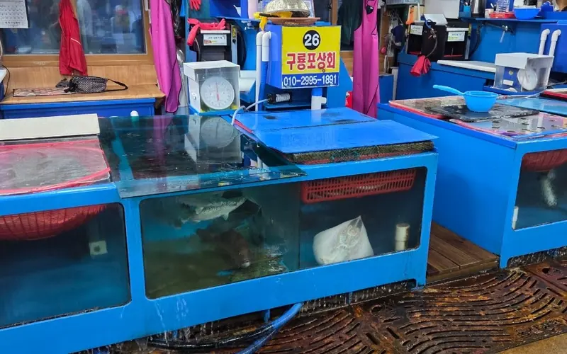 방어진활어센터 사진